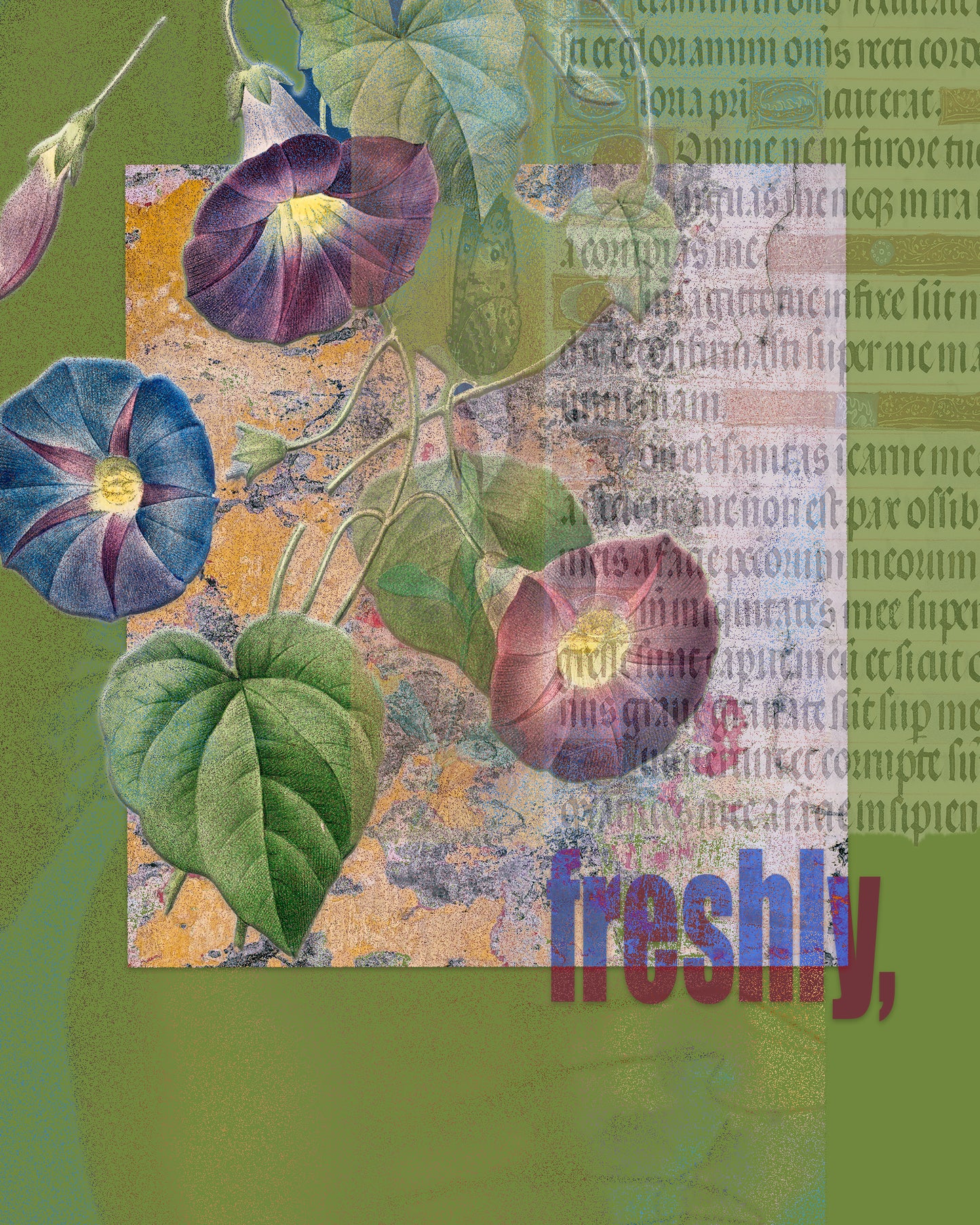 Freshly, a greeting card (5x7in)